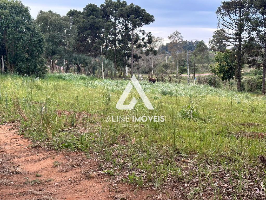 Chácara, 3 quartos - Foto 17