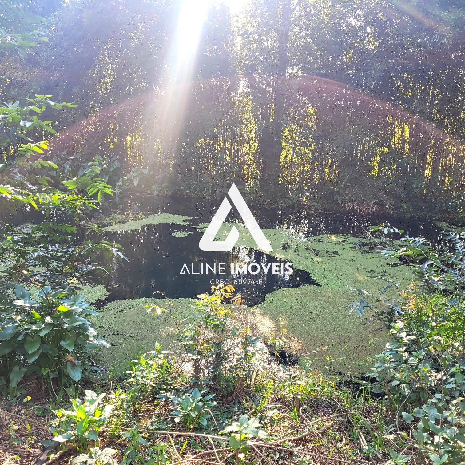 Fazenda-Sítio-Chácara, 4 quartos - Foto 12