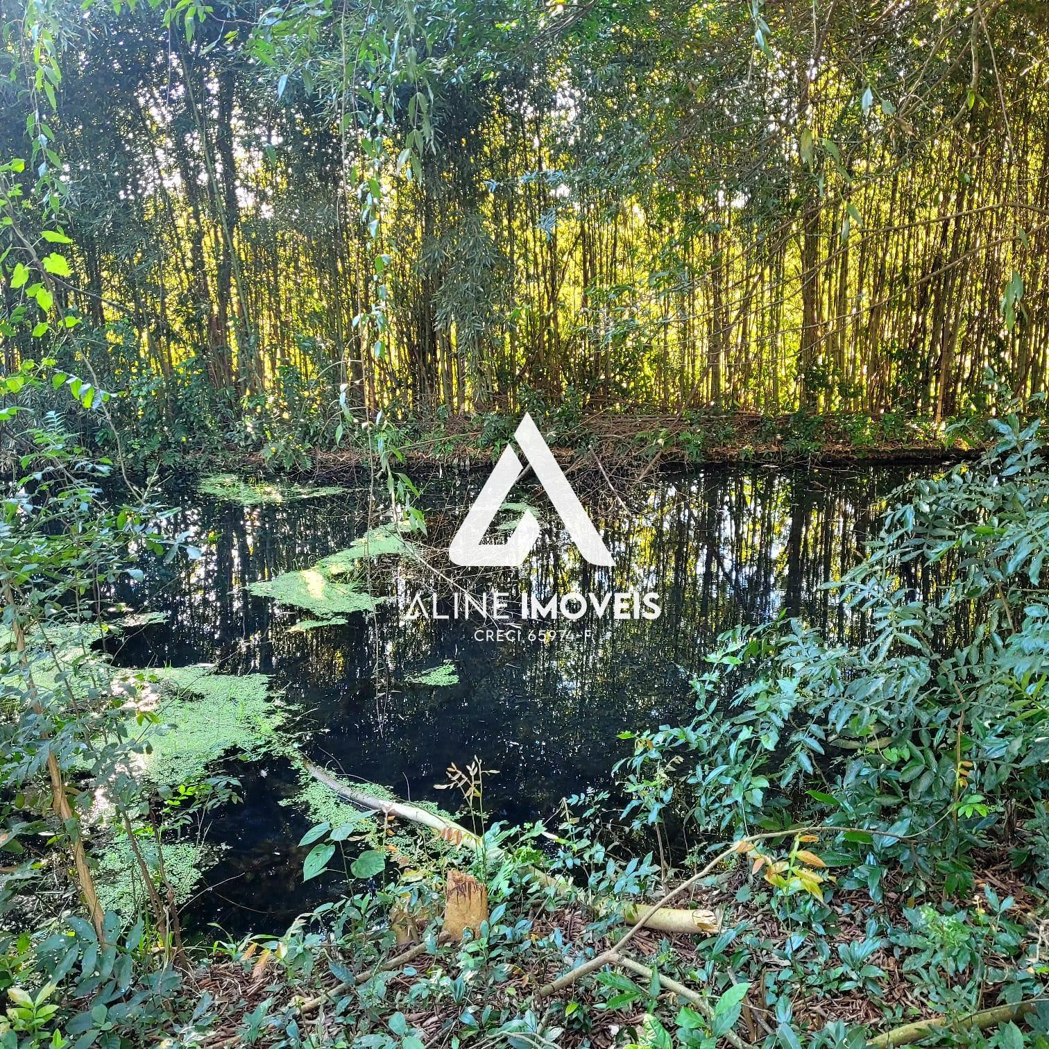 Fazenda-Sítio-Chácara, 4 quartos - Foto 11