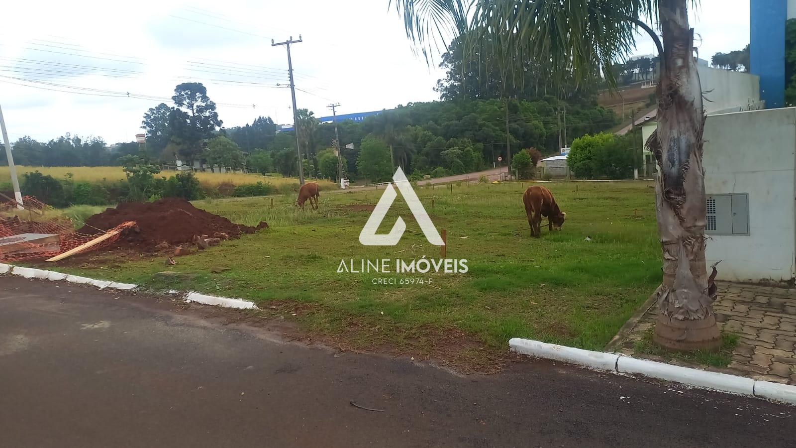 Terreno, 605 m² - Foto 3