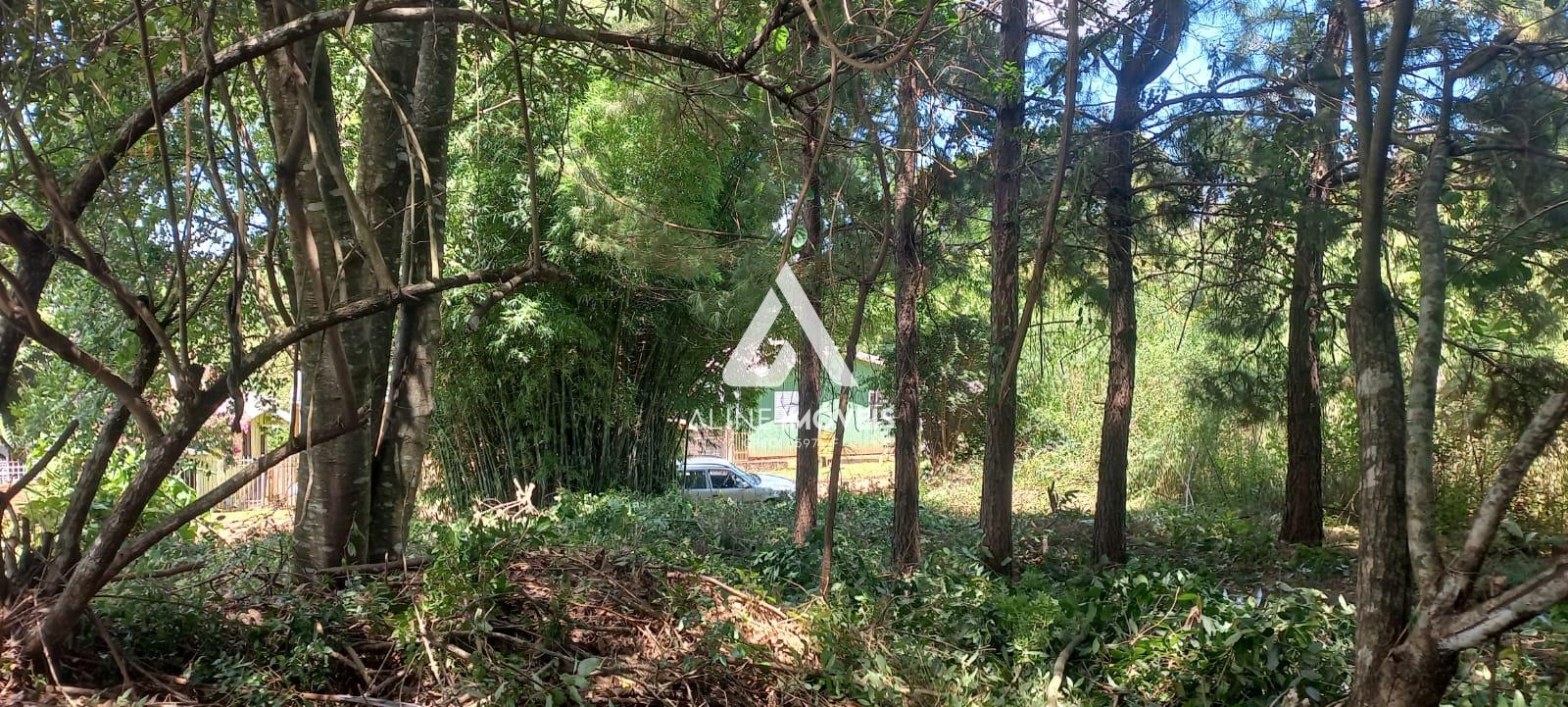 Terreno, 455 m² - Foto 2