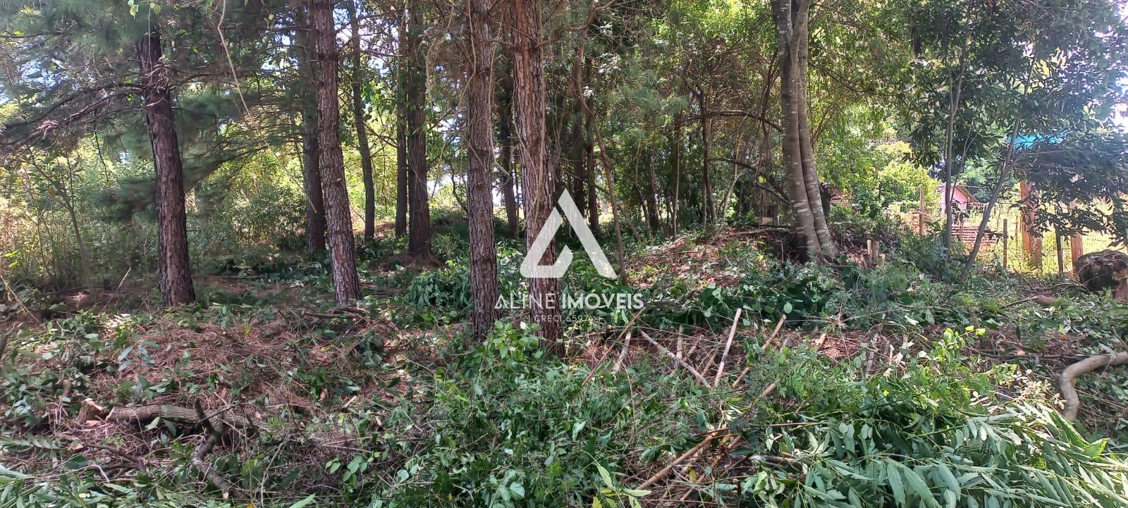 Terreno, 455 m² - Foto 3