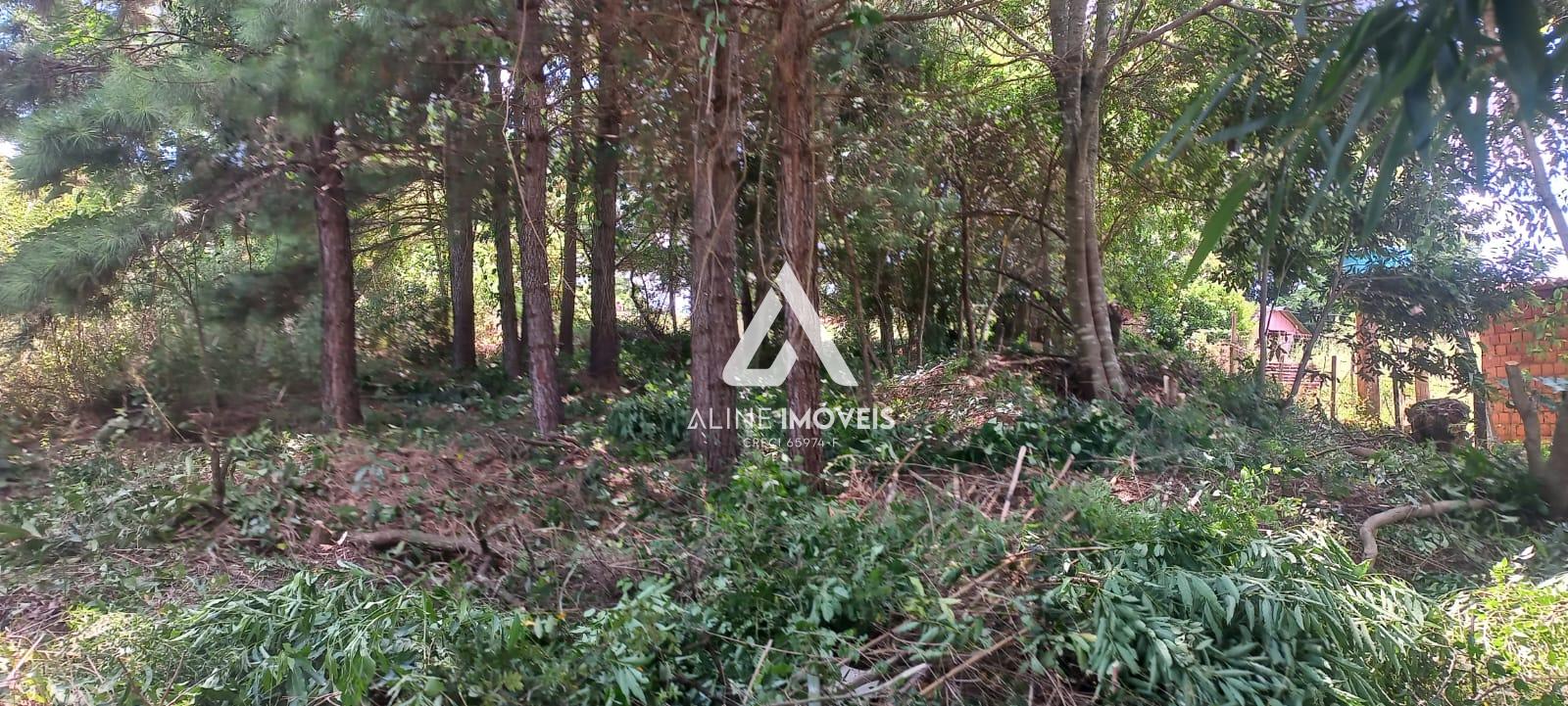 Terreno, 455 m² - Foto 4