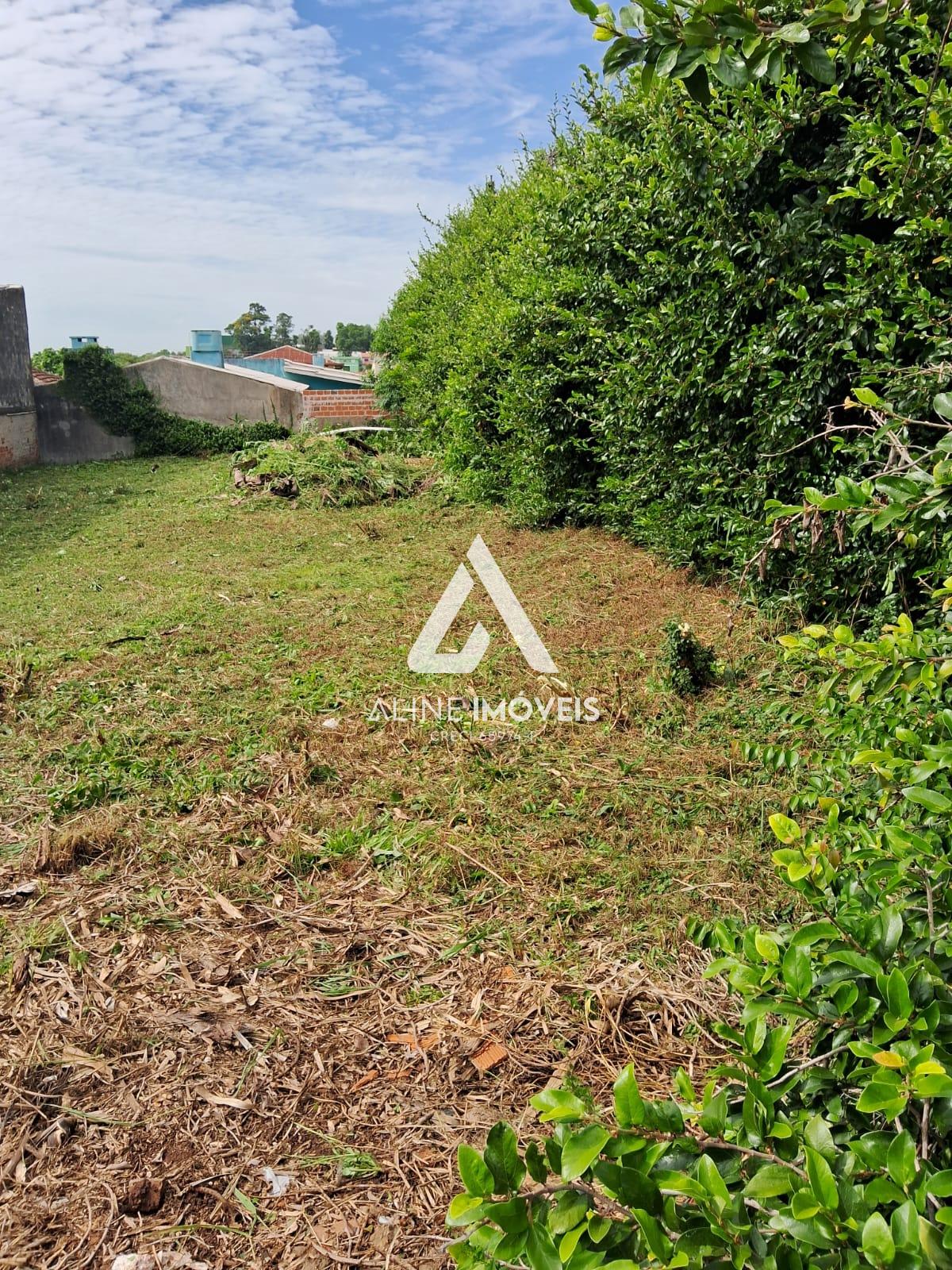 Terreno - Foto 1