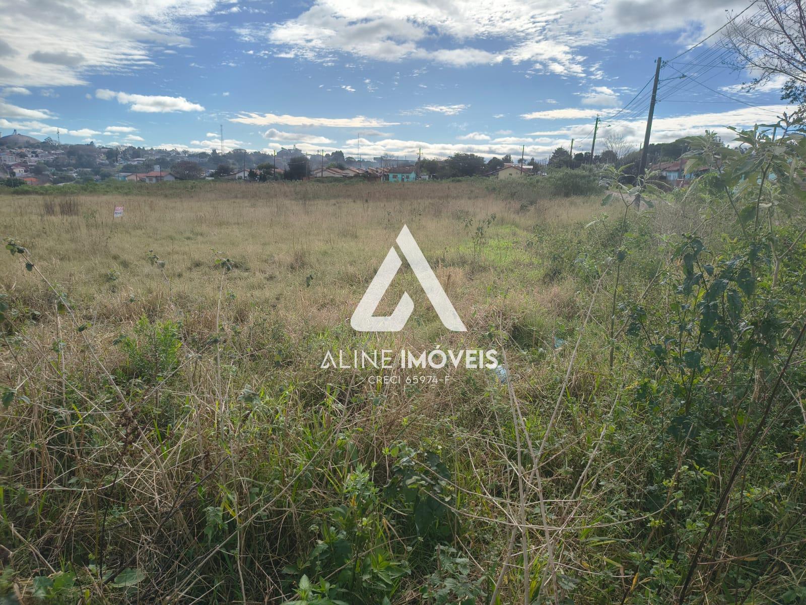 Terreno - Foto 1