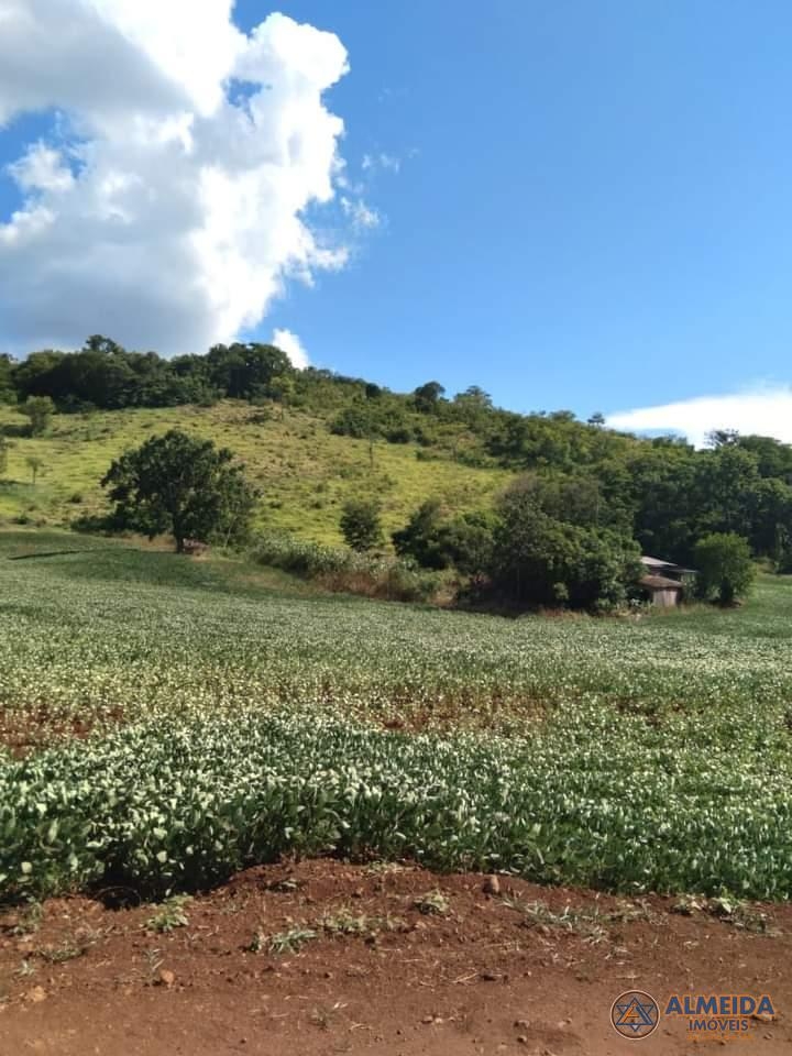 CHACARA COM 8 ALQUEIRES EM TRES BARRAS DO PARANA