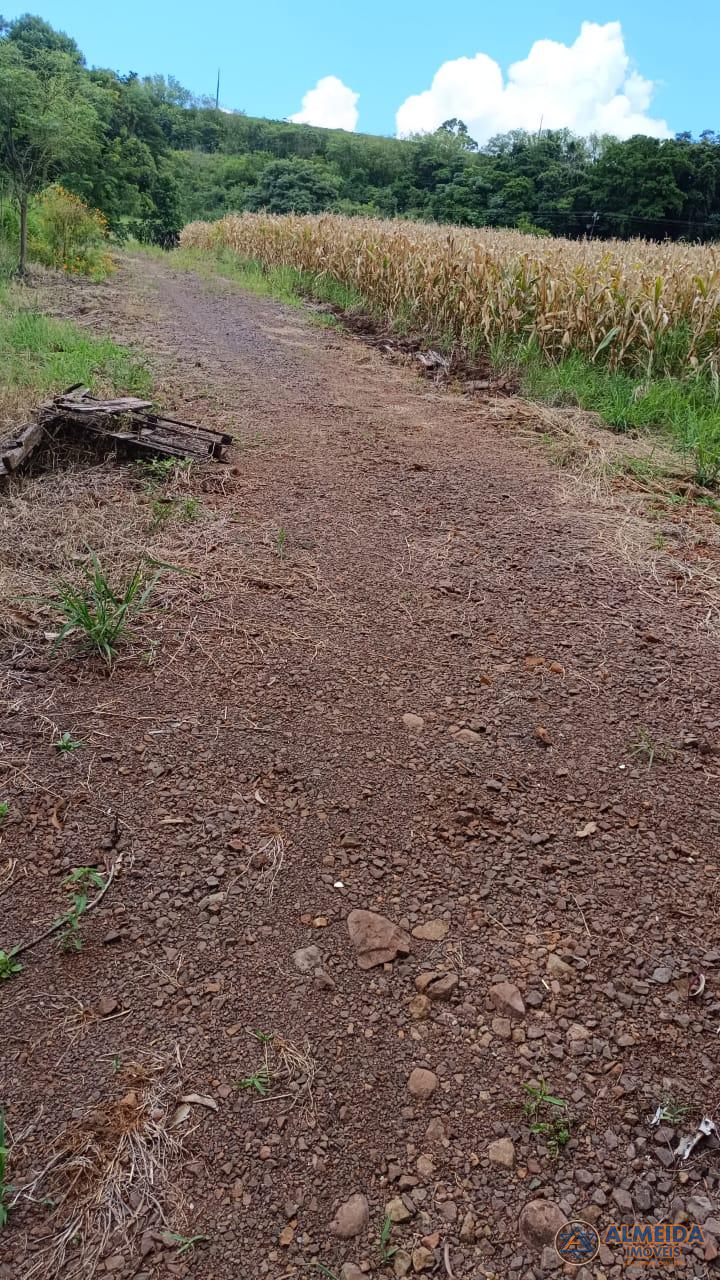 EXCELENTE CHCARA COM 2 ALQUEIRES PARA VENDA LOCALIZADA NA LINHA PAR EM SANTA LUCIA