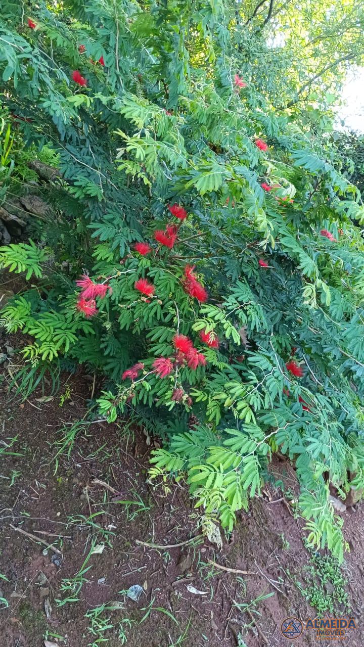 EXCELENTE CHCARA COM 2 ALQUEIRES PARA VENDA LOCALIZADA NA LINHA PAR EM SANTA LUCIA