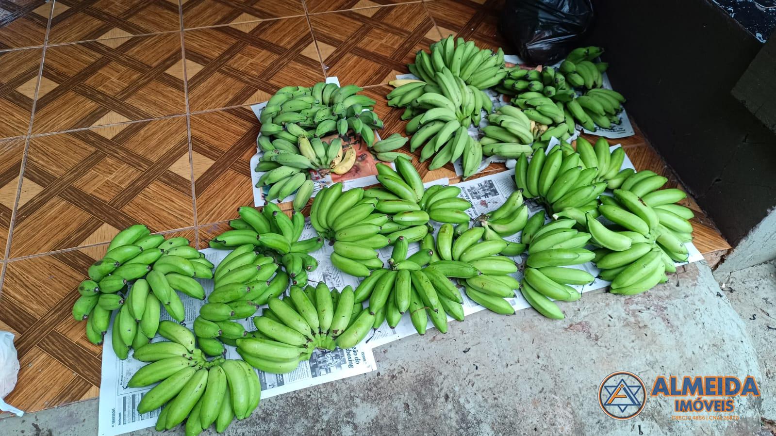 EXCELENTE CHCARA COM 2 ALQUEIRES PARA VENDA LOCALIZADA NA LINHA PAR EM SANTA LUCIA