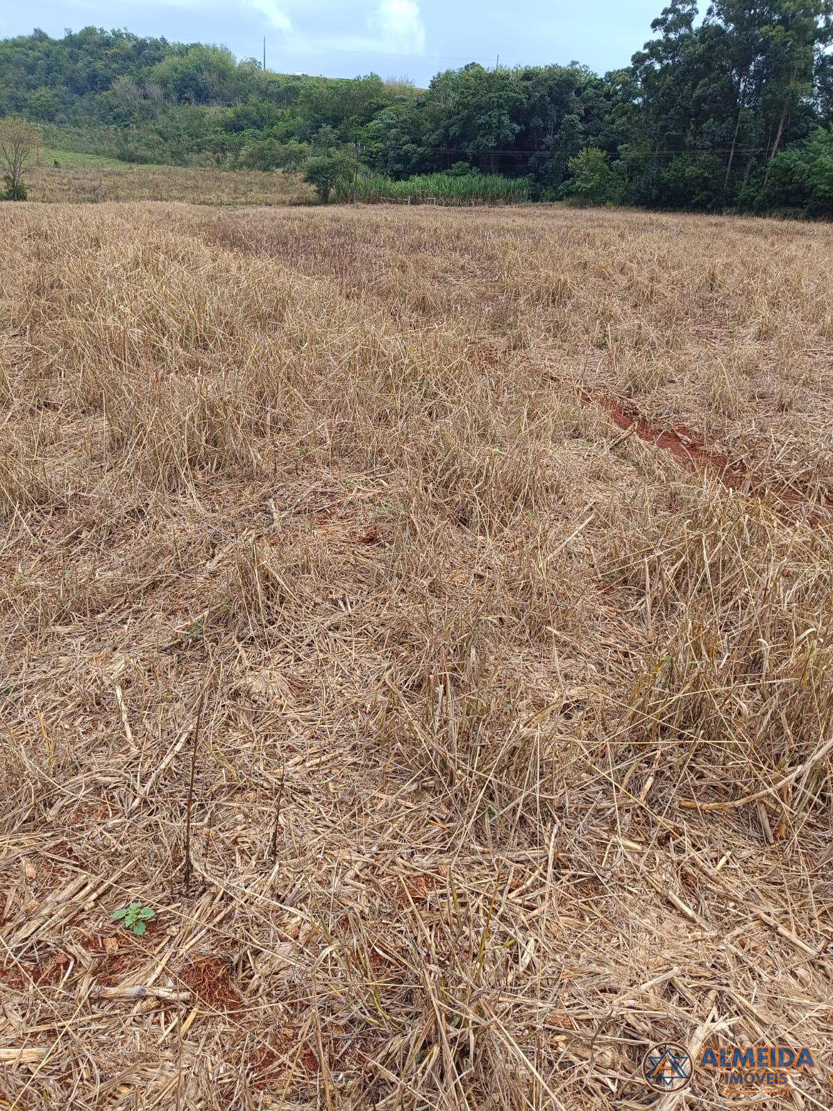 EXCELENTE CHÁCARA COM  2 ALQUEIRES  PARA VENDA LOCALIZADA NA  ...