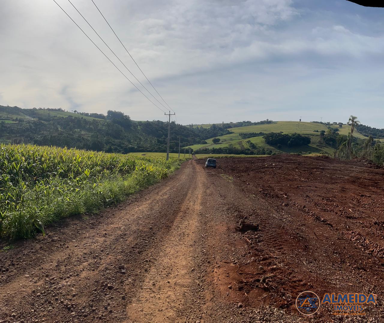 EXCELENTE ÁREA RURAL PARA VENDA LOCALIZADO A 1 KM DA CIDADE DE...