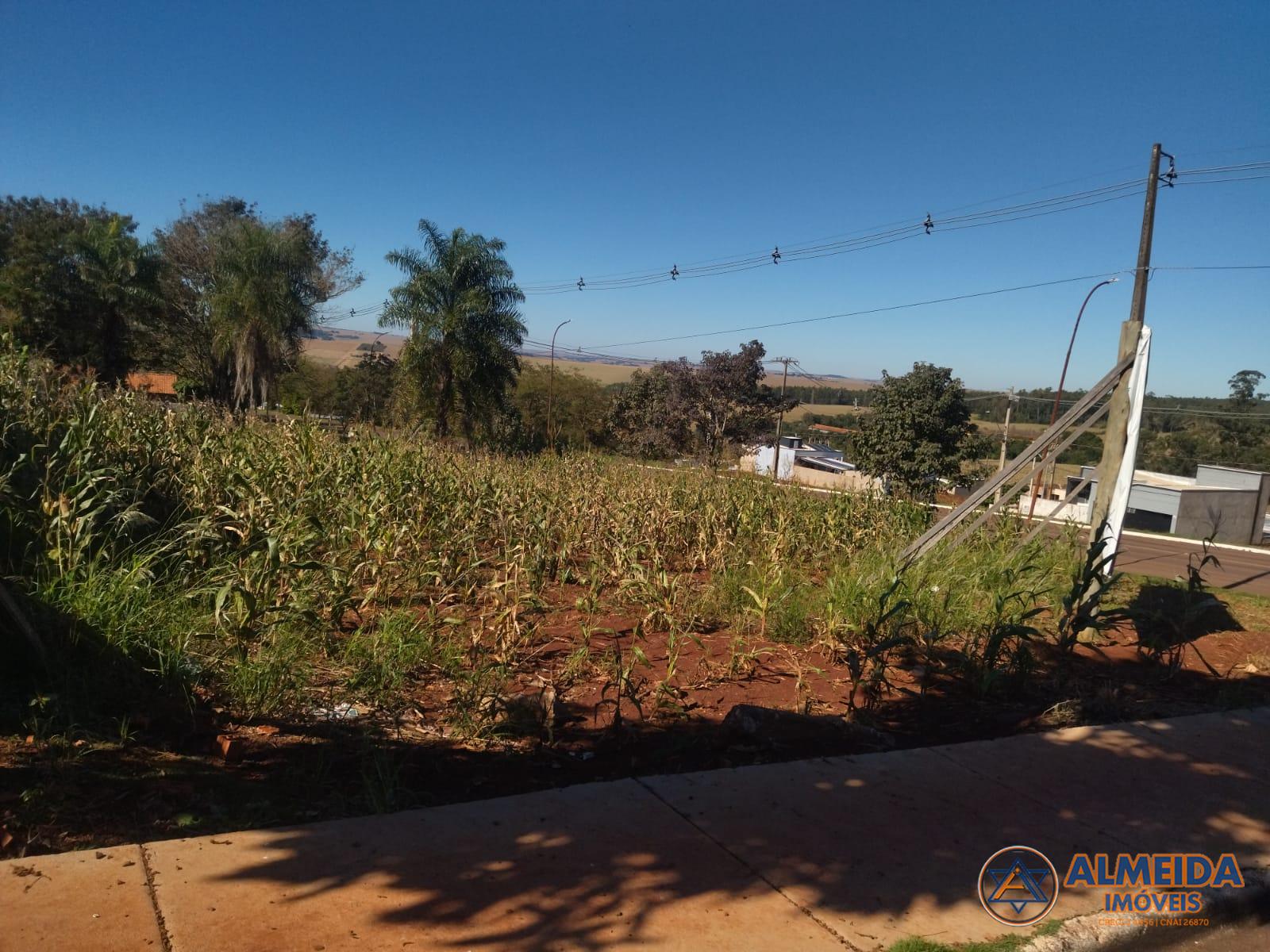 TERRENO PARA VENDA  LOCALIZADO EM IRACEMA DO OESTE - PR