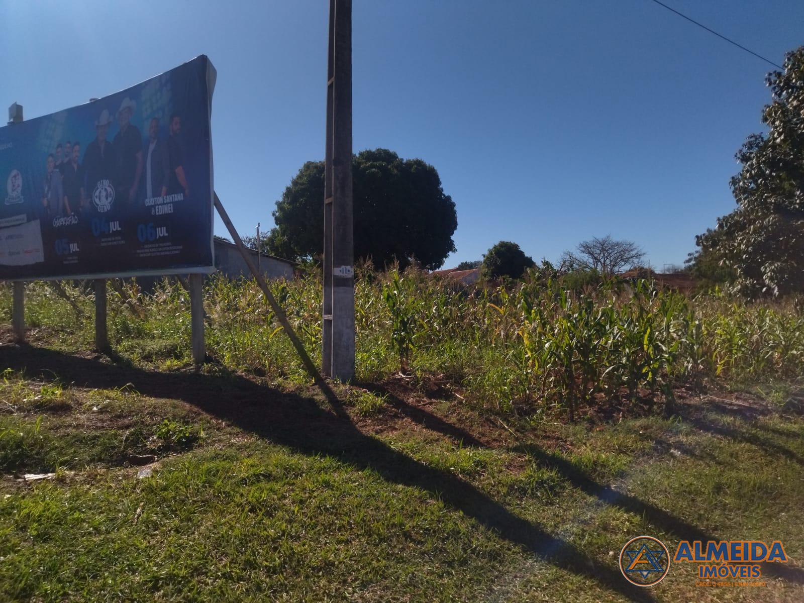 TERRENO PARA VENDA  LOCALIZADO EM IRACEMA DO OESTE - PR