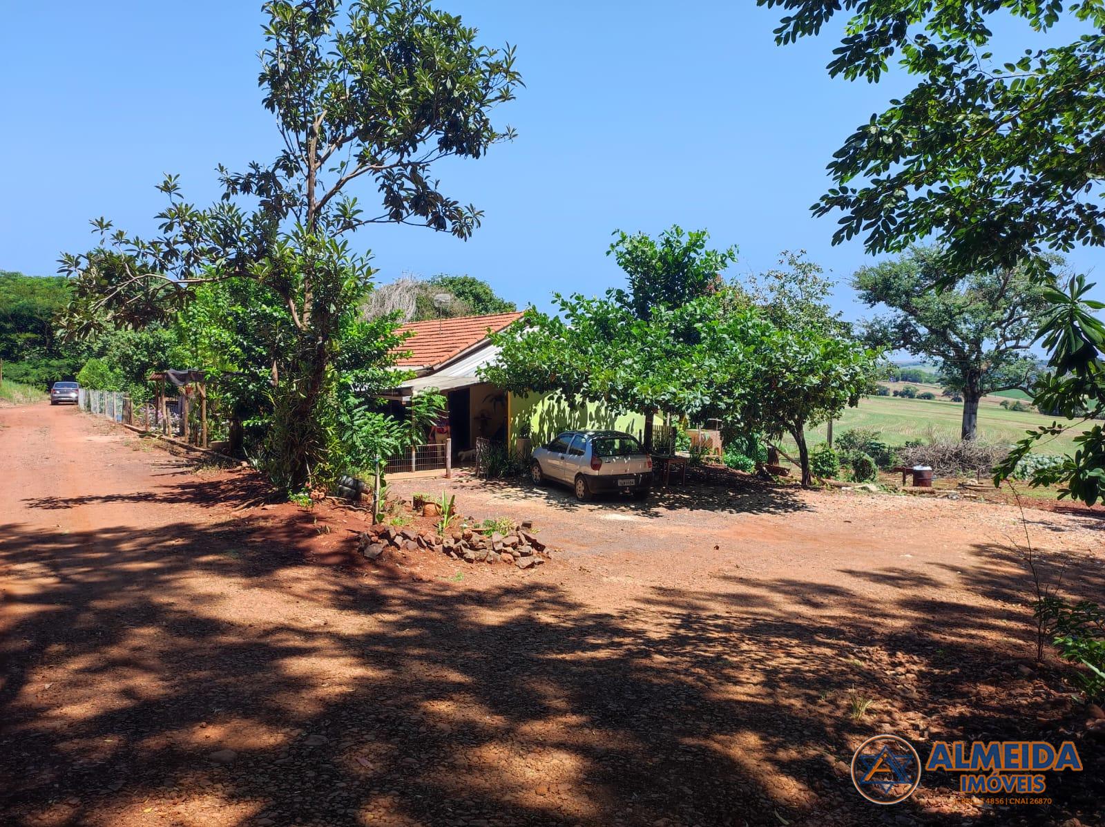 CHACARÁ PRODUTIVA PARA  VENDA COM 2 ALQUEIRES NO MUNICÍPIO DE ...