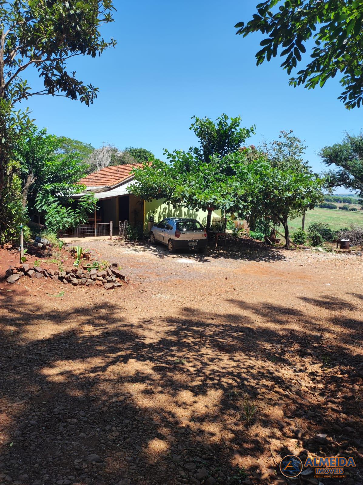 CHACARÁ PRODUTIVA PARA  VENDA COM 2 ALQUEIRES NO MUNICÍPIO DE ...