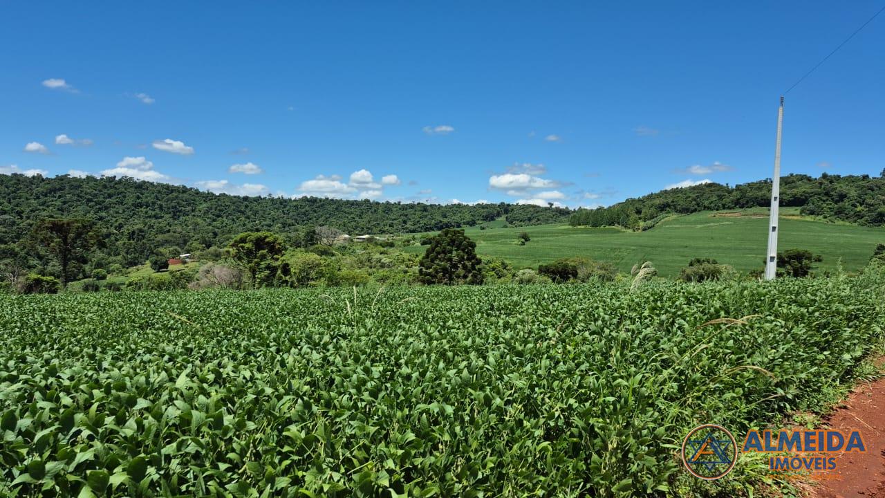Chácara à venda, Rio do Salto, CASCAVEL - PR
