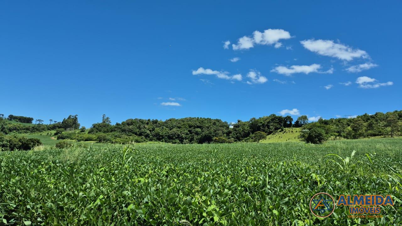 Chácara à venda, Rio do Salto, CASCAVEL - PR