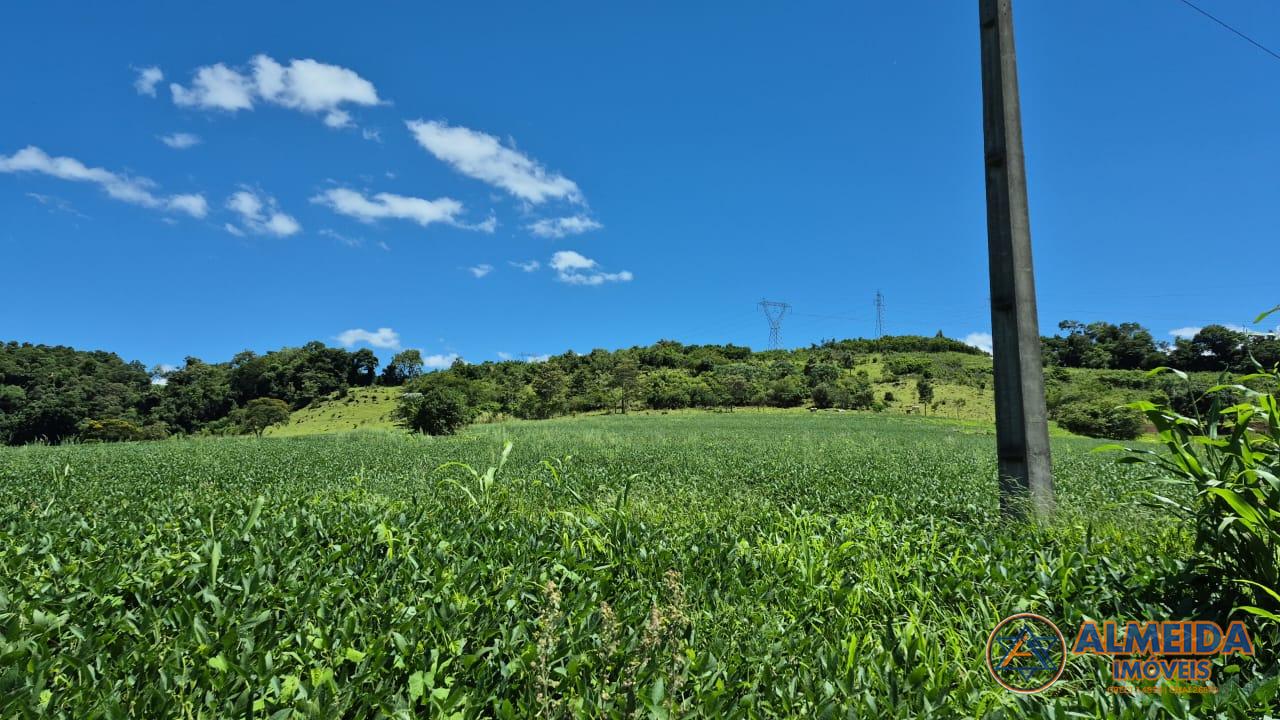 Chácara à venda, Rio do Salto, CASCAVEL - PR