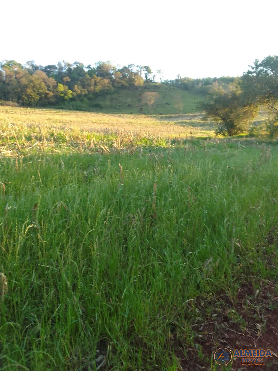Chcara venda, Rio do Salto, CASCAVEL - PR