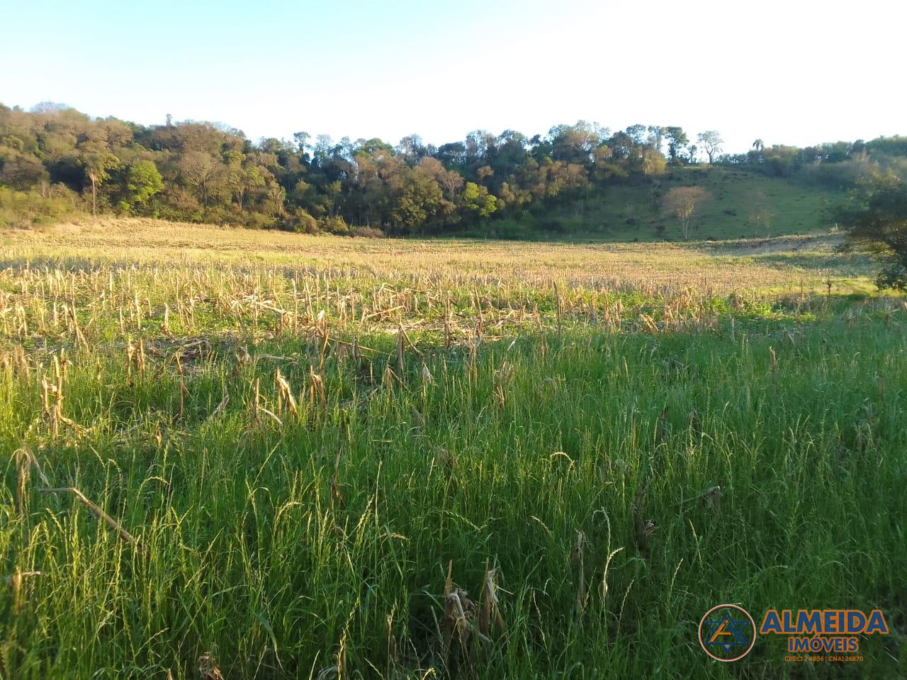 Chcara venda, Rio do Salto, CASCAVEL - PR