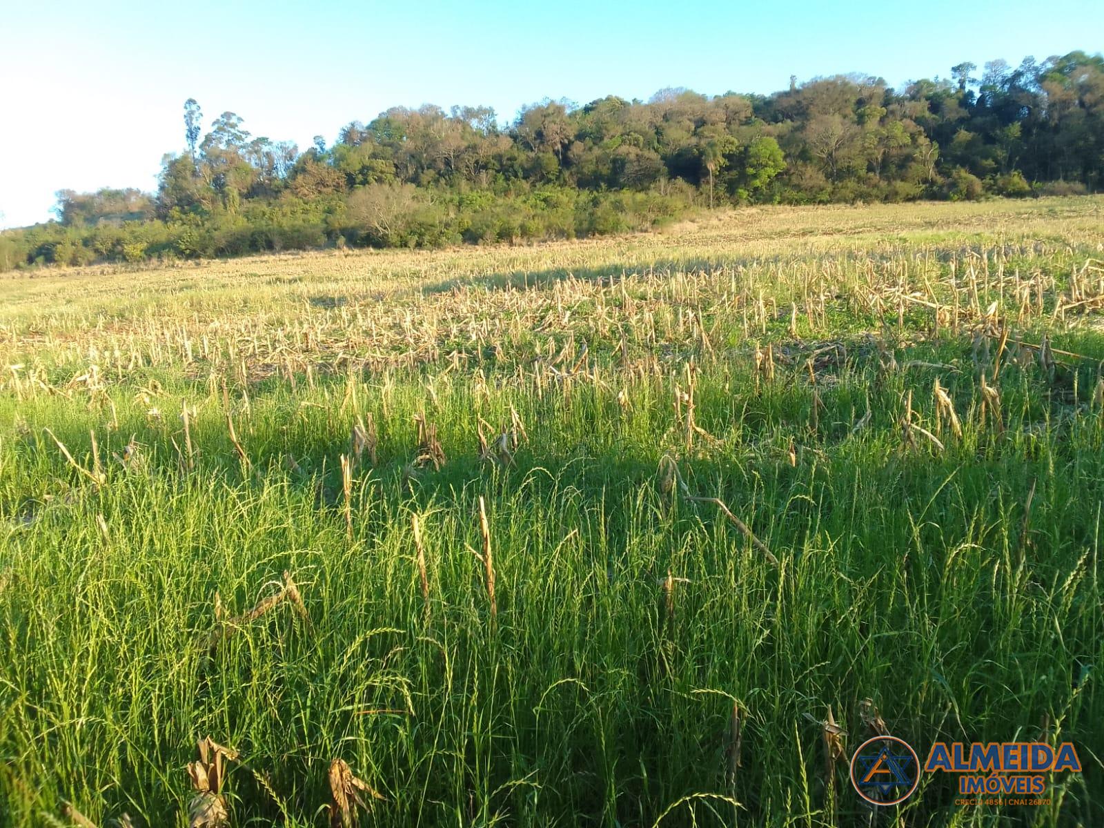 Chcara venda, Rio do Salto, CASCAVEL - PR