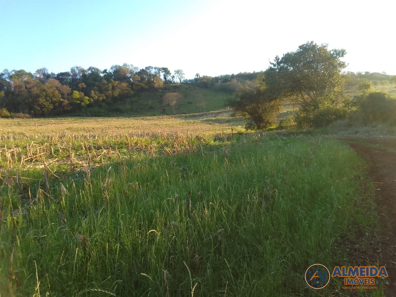 Chcara venda, Rio do Salto, CASCAVEL - PR