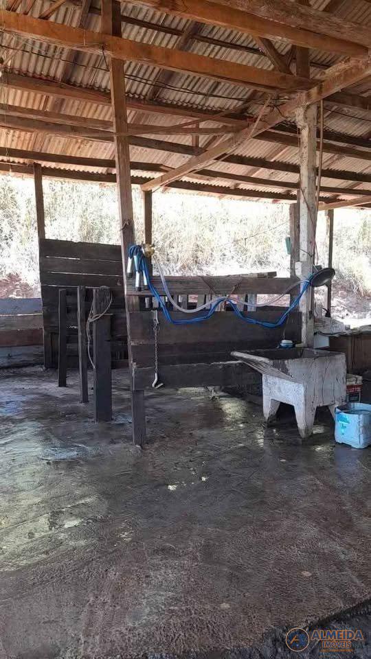 CHÁCARA PRODUTIVA COM CASA DE ALVENARIA PARA VENDA NA LINHA SE...