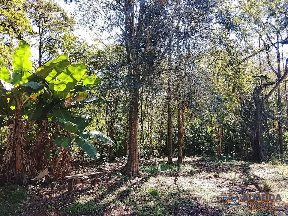 CHÁCARA PRODUTIVA COM CASA DE ALVENARIA PARA VENDA NA LINHA SE...