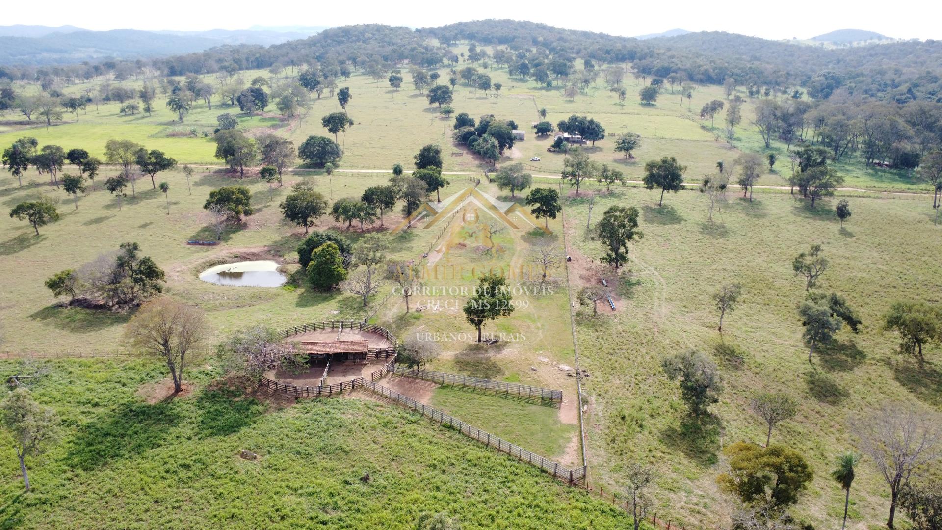Fazenda à venda, pronta para pecuária   - MIRANDA - MS