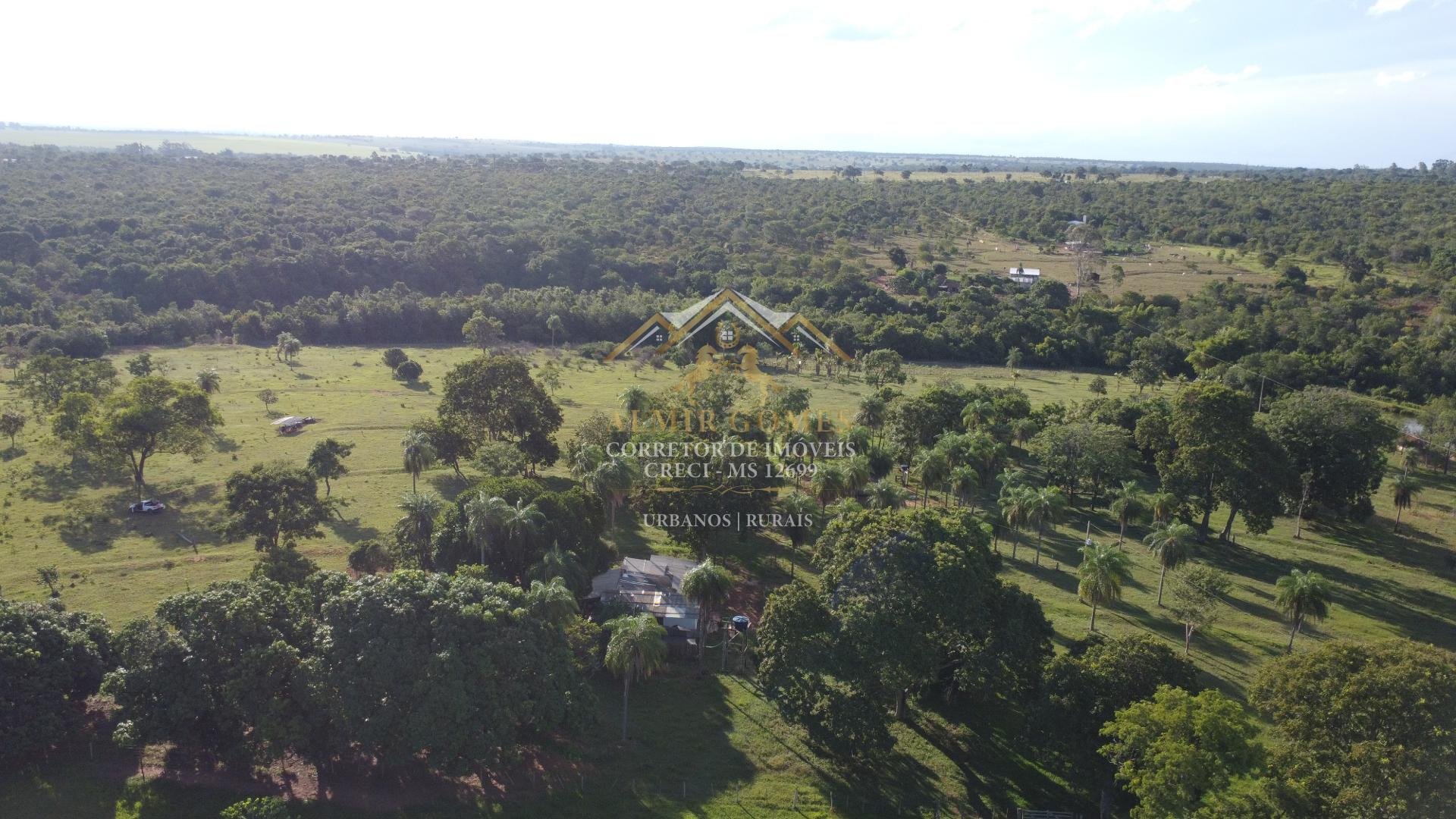Chácara à venda, 7 hectares, saída para Cuiabá - CAMPO GRANDE - MS