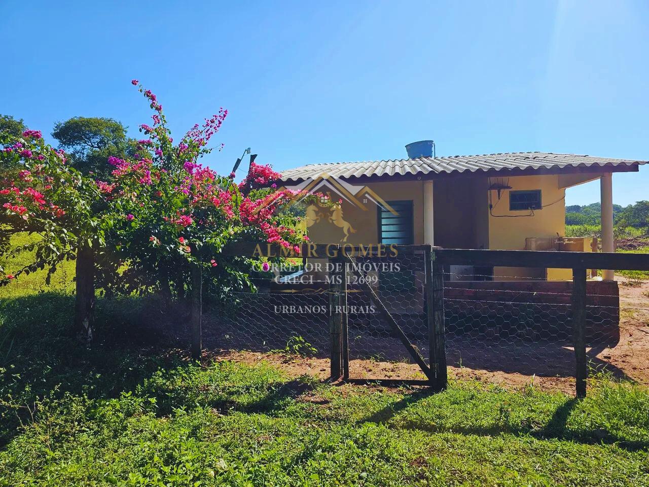 Fazenda 238 hectares, à venda, casa com bica d água, rica em água, CAMAPUA - MS