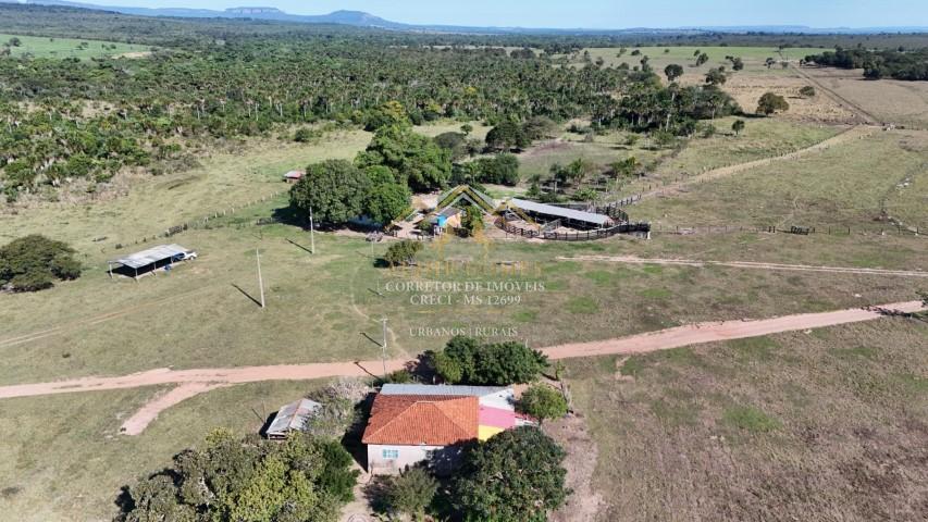 Fazenda à venda 288ha, região do Taboco, Rica de água, AQUIDAUANA - MS
