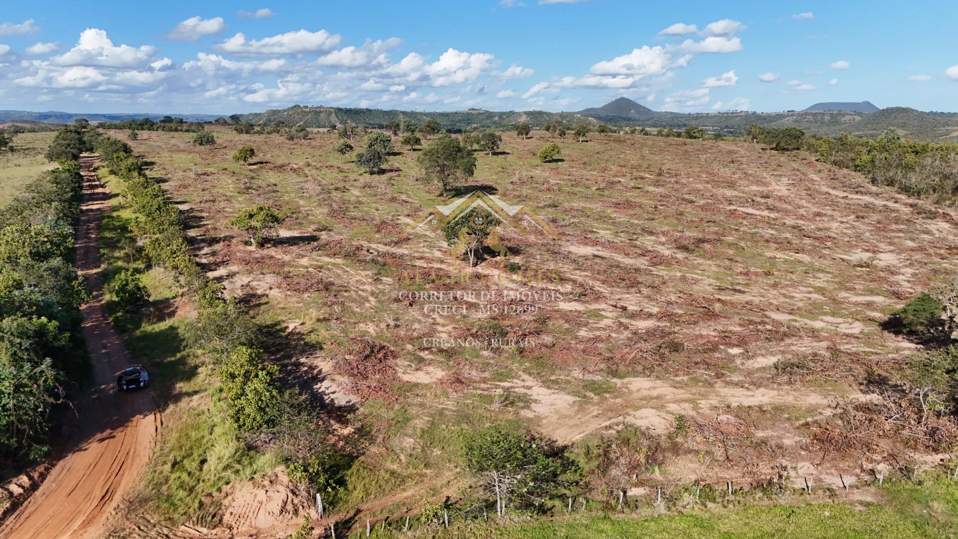 Fazenda 99,9ha à venda,  Terra de furna e aroeira -  CAMAPUA - MS