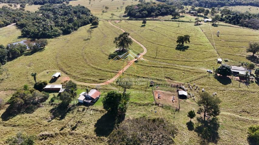 Fazenda à venda 204 hectares, SAO GABRIEL DO OESTE - MS