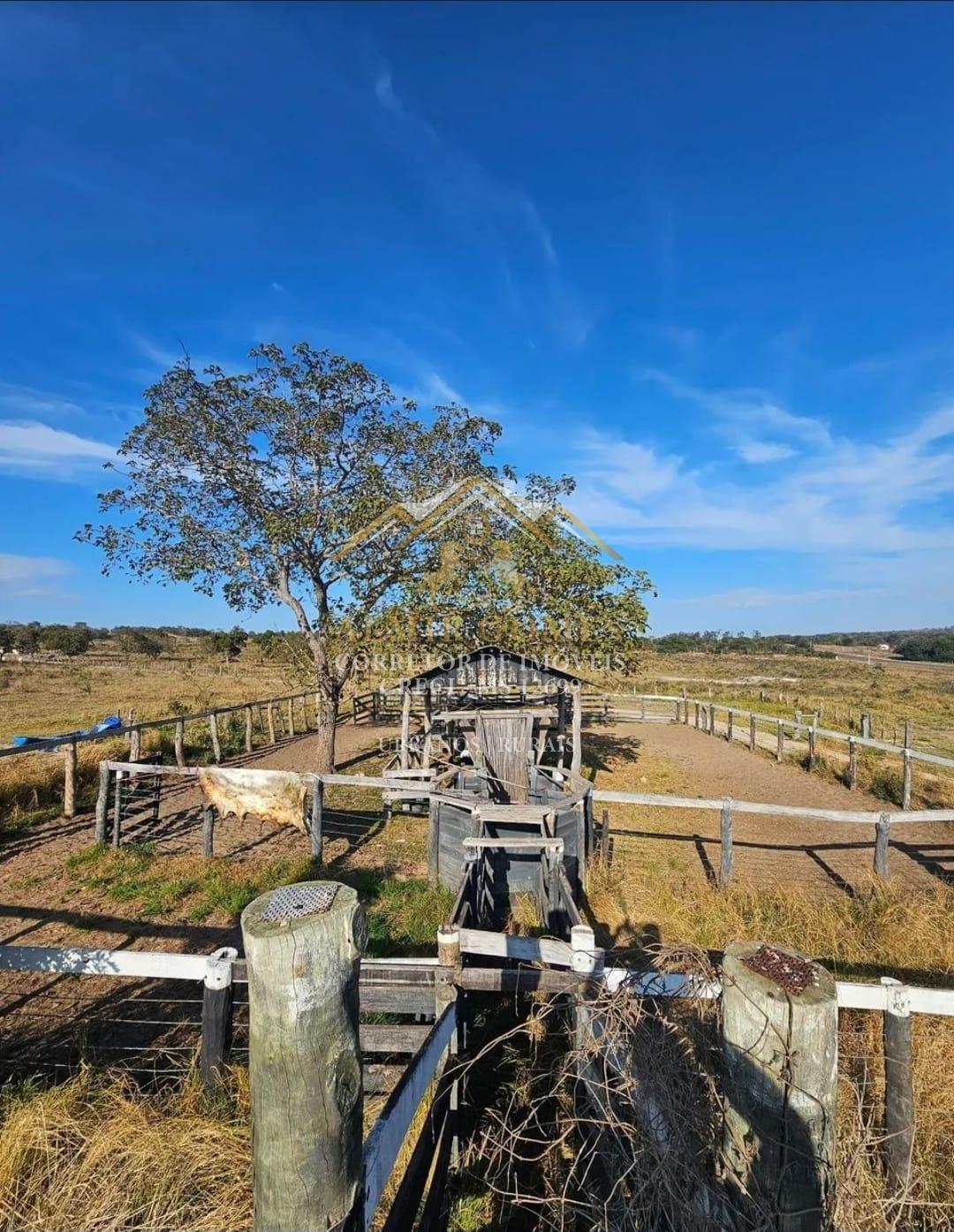 Chácara à venda 96 hectares - Na beira do asfalto  RIO VERDE DE MATO GROSSO - MS