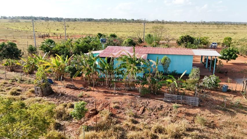 Chácara 6.4 hectares à venda, 1 Km de estrada de chão , ROCHEDO - MS