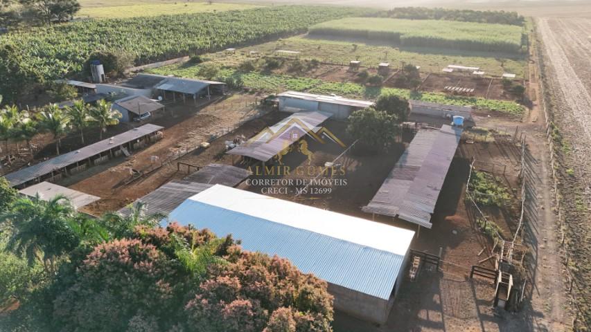 Chácara 4.6 hectares à venda. Pronta para confinamento. TERENOS - MS