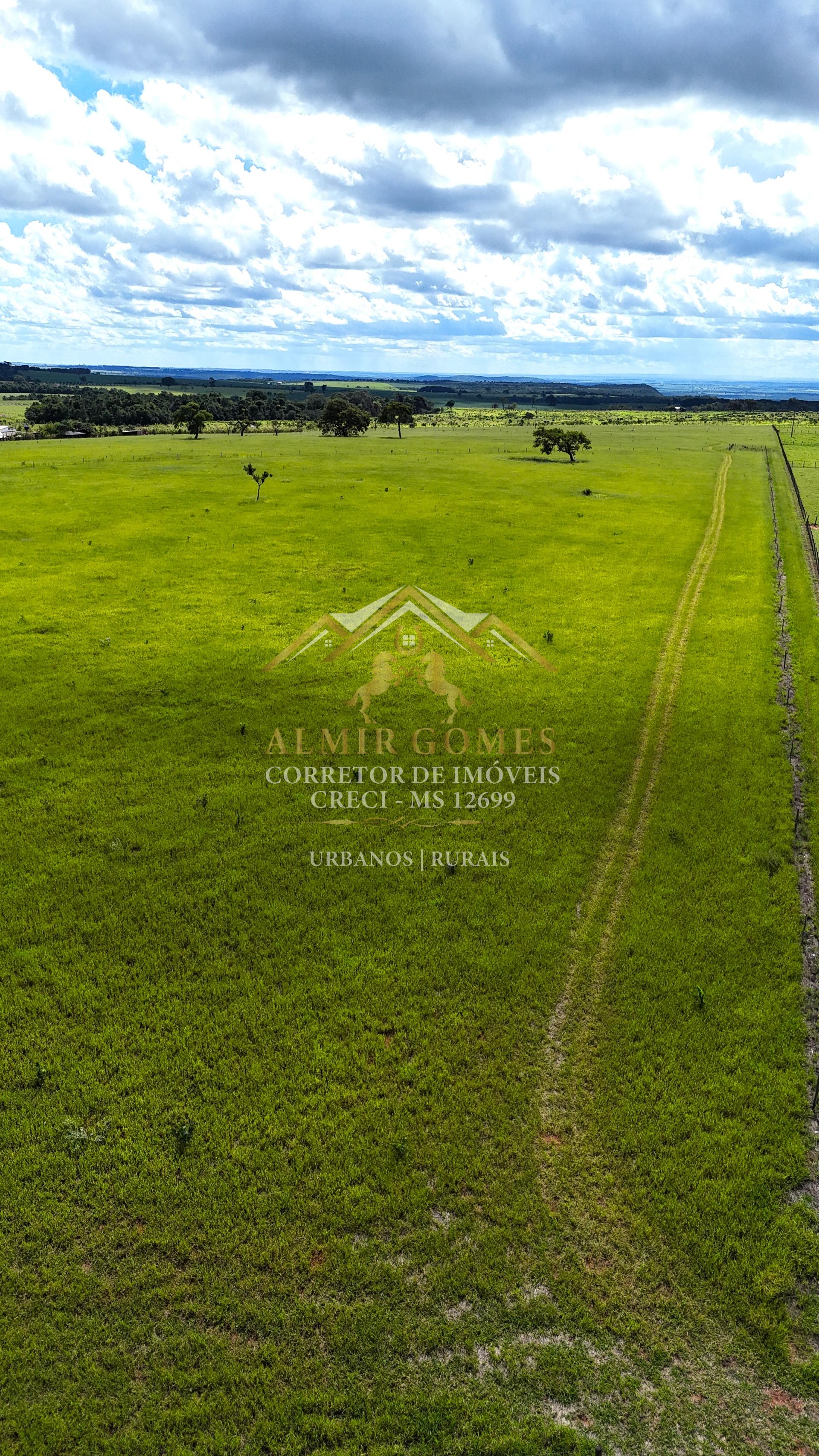 20 Hectares Margem do Asfalto Próxima ao Parque do Peão CLC - CAMPO GRANDE - MS
