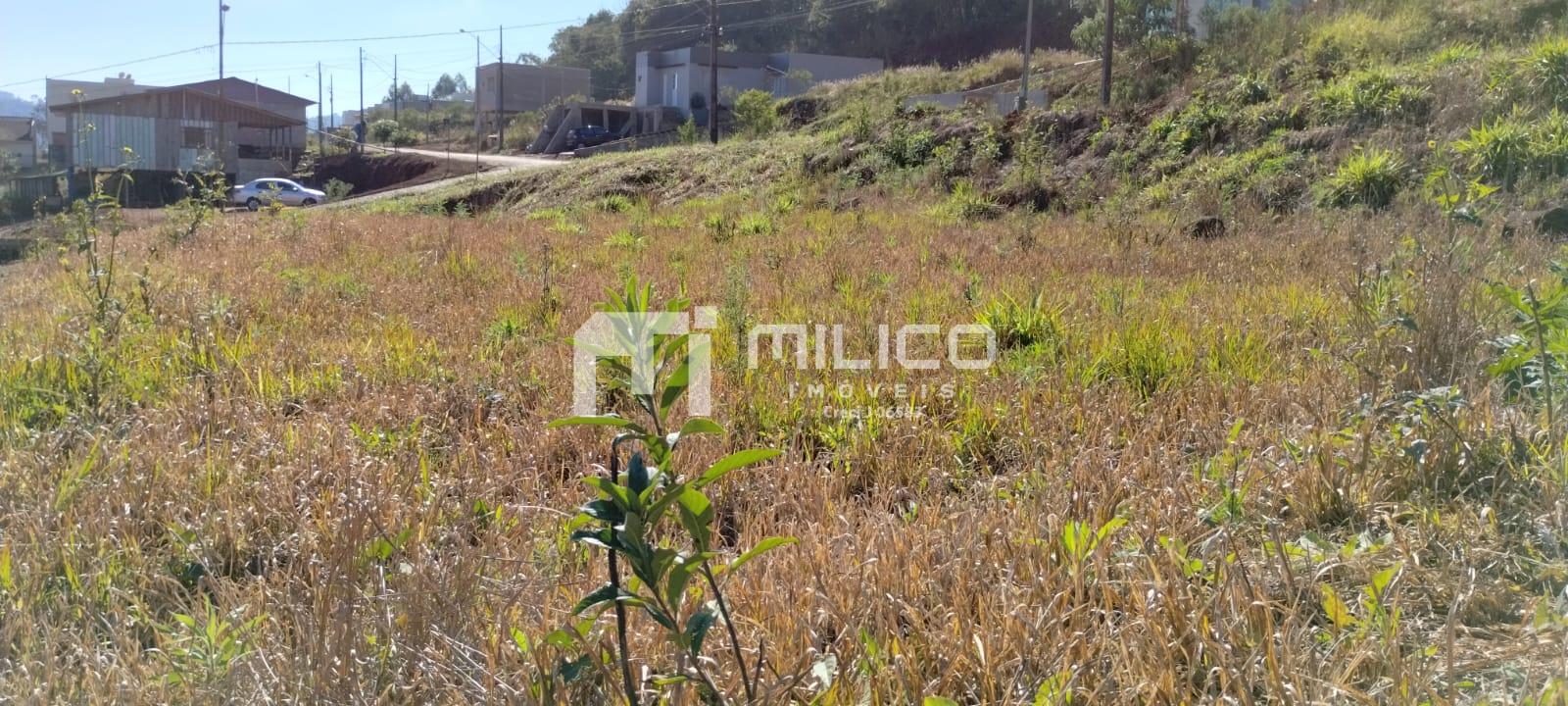 Vieira Imveis em Francisco Beltro PR