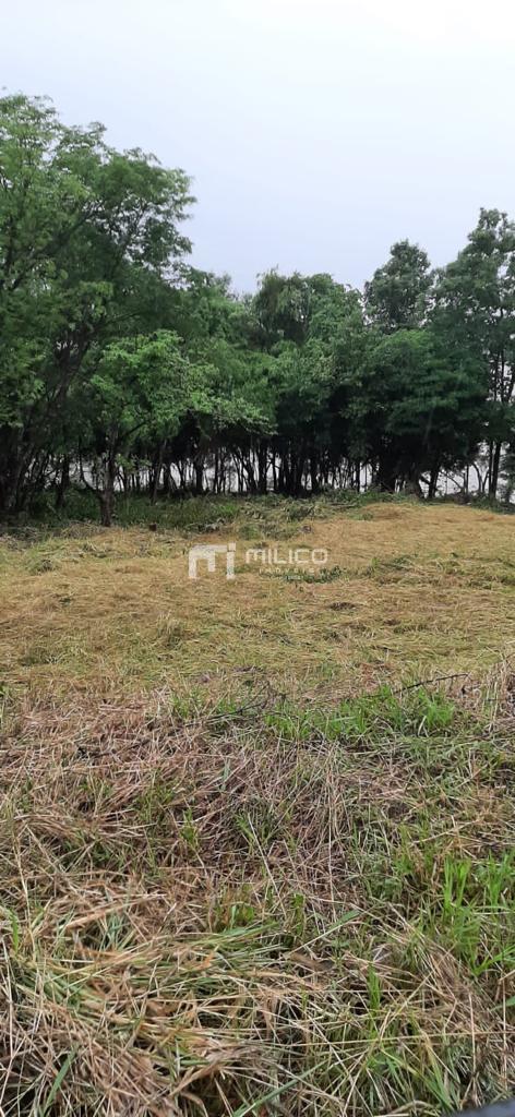 TERRENO ALAGADO - DE FRENTE LAGO - ESTRELA DOURADA - NOVA PRATA DO IGUAU