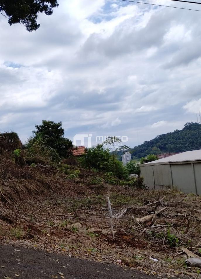 TERRENO SO CRISTVO - FRANCISCO BELTRAO - PR - PROX. COLEGIO ALFA