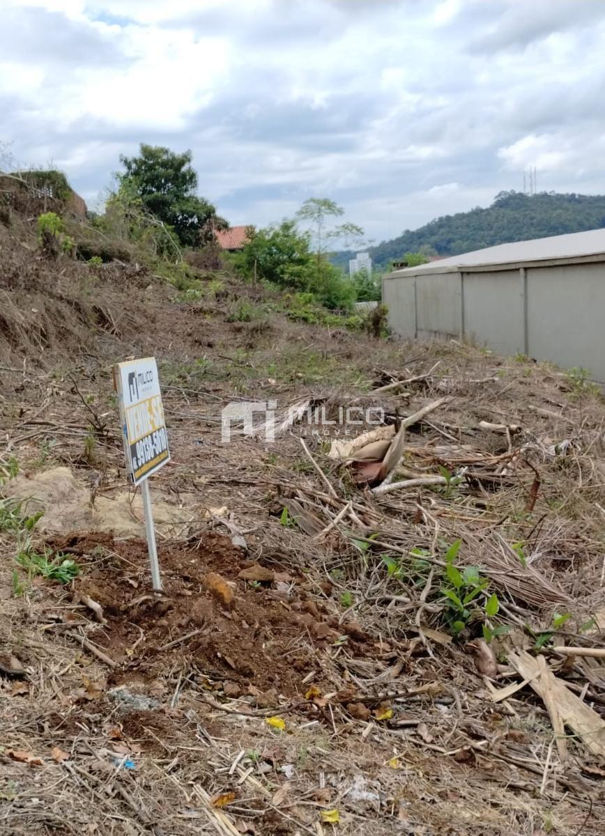 Vieira Imveis em Francisco Beltro PR