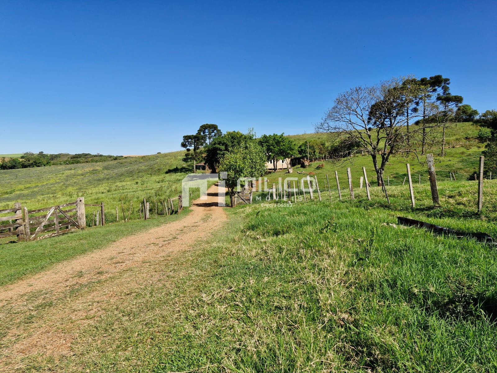 Fazenda  venda,80 alqueires, zona rural de Flor da Serra do Sul