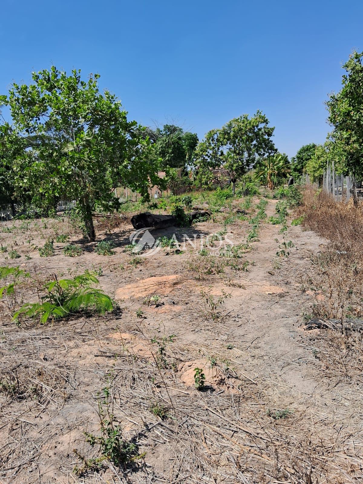 Chácara à venda, área Rural,  metragem de 1.000 m  SINOP - MT