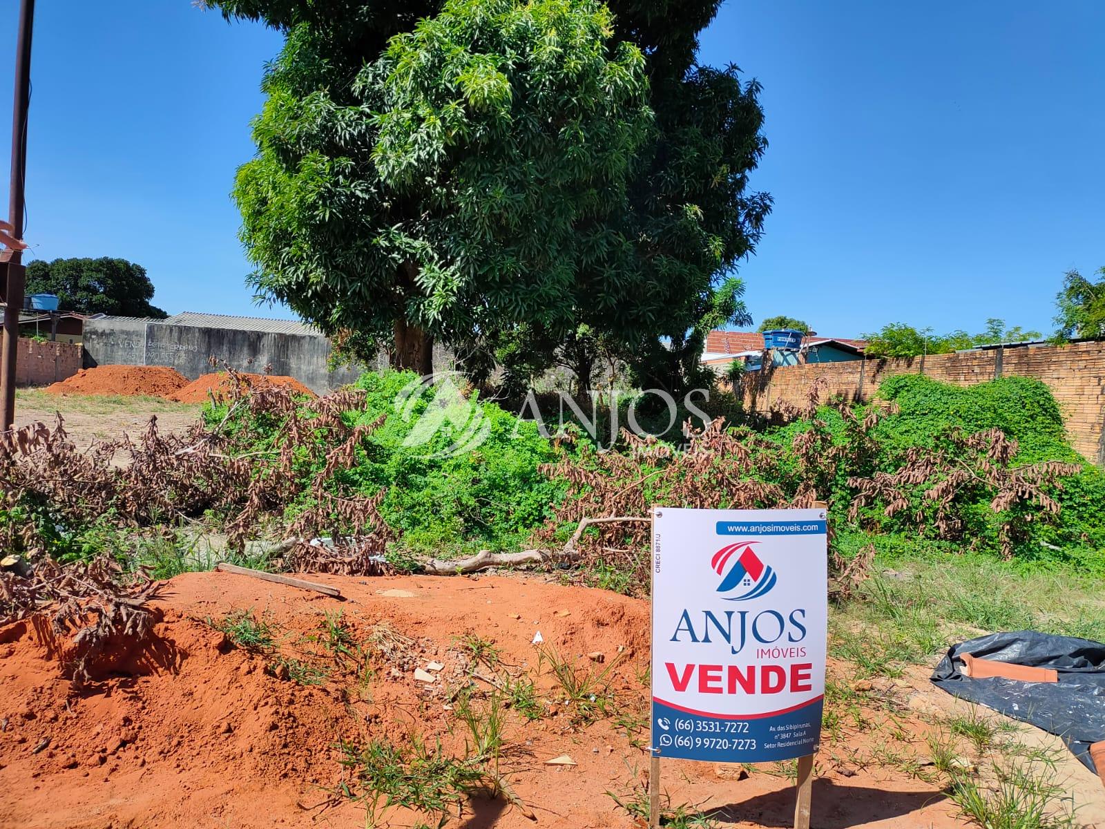 TERRENO A VENDA, NO JARDIM  PRIMAVERAS  EM SINOP  -  MT.