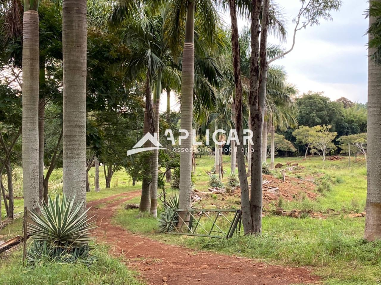 Chácara à venda em Santa Terezinha de Itaipu - PR, a 20 minuto...