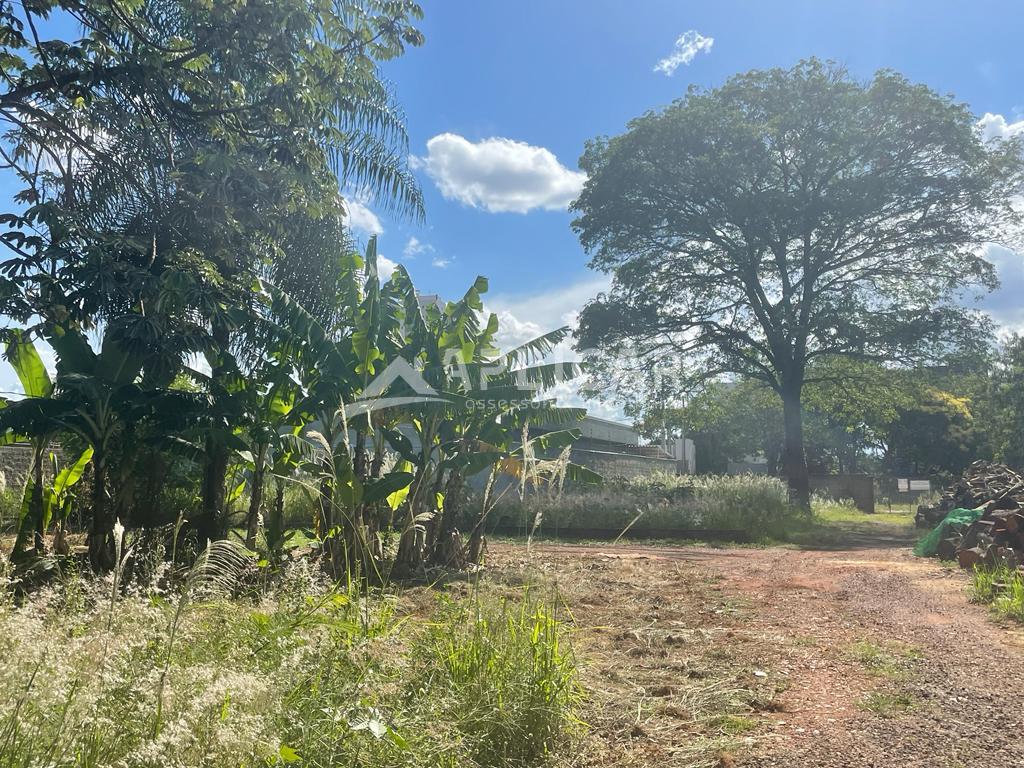 Terreno à venda, na Avenida Costa e Silva, FOZ DO IGUACU - PR