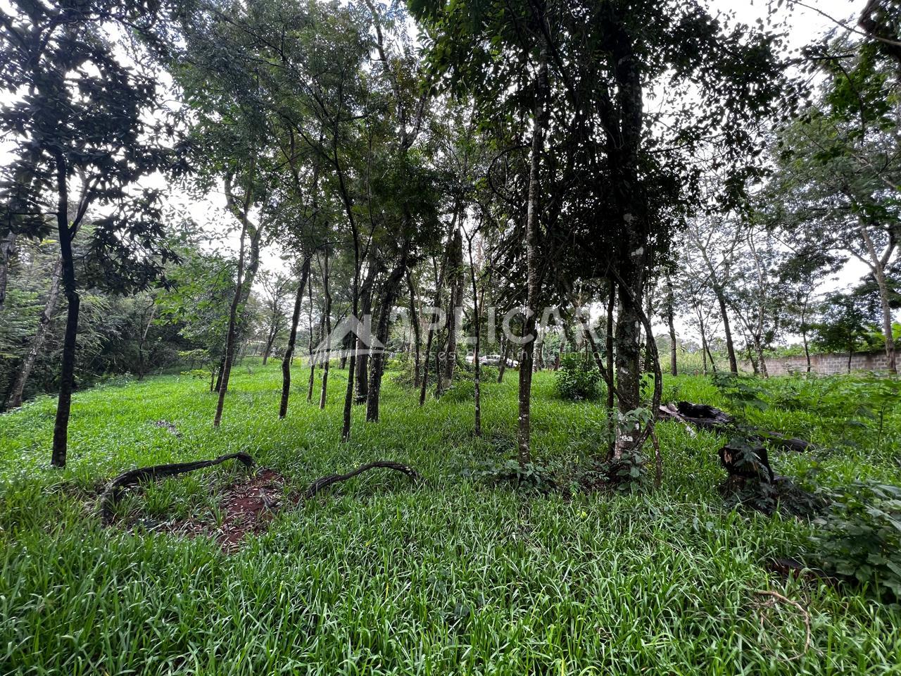 TERRENO  À VENDA COM 8.000M  - ARROIO DOURADO, FOZ DO IGUAÇU