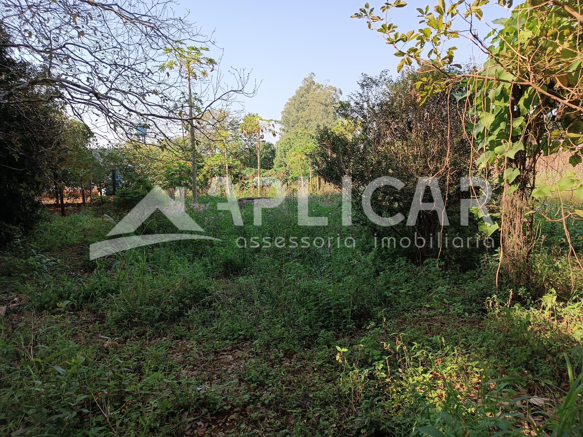 CHACARA PARA LOCAÇÃO COM 5.000 M2, NO PORTO DOURADO