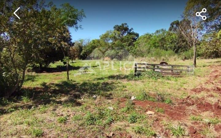 Chácara à venda, Lote Grande, FOZ DO IGUACU - PR